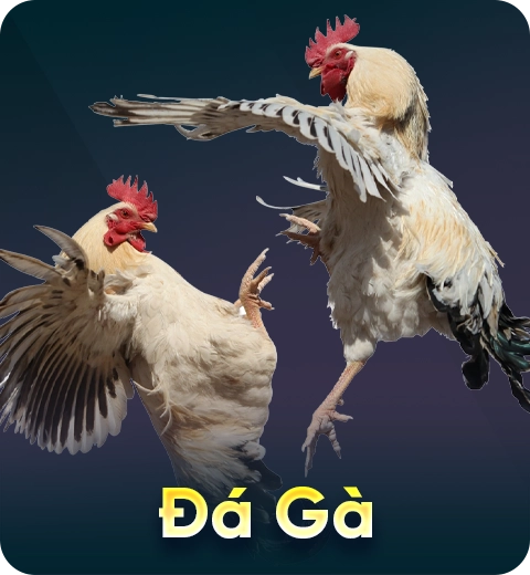 Đá Gà (5)