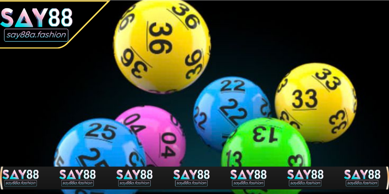 Nuôi lô khung 3 ngày